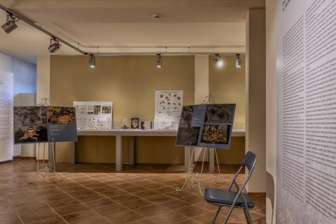 Museo Naturalistico Preistorico dei Monti Lucretili "Federico Cesi"