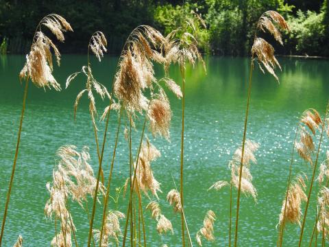 Percile, Lagustelli, Lago Fraturno