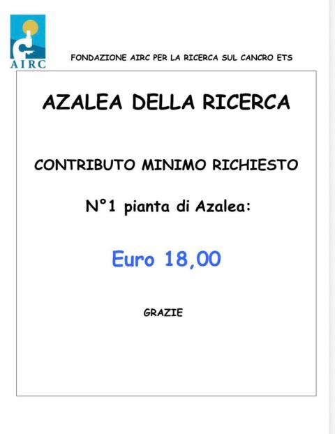 Azalee della Ricerca