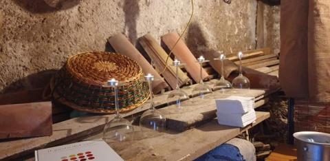 Cantine in Festa
