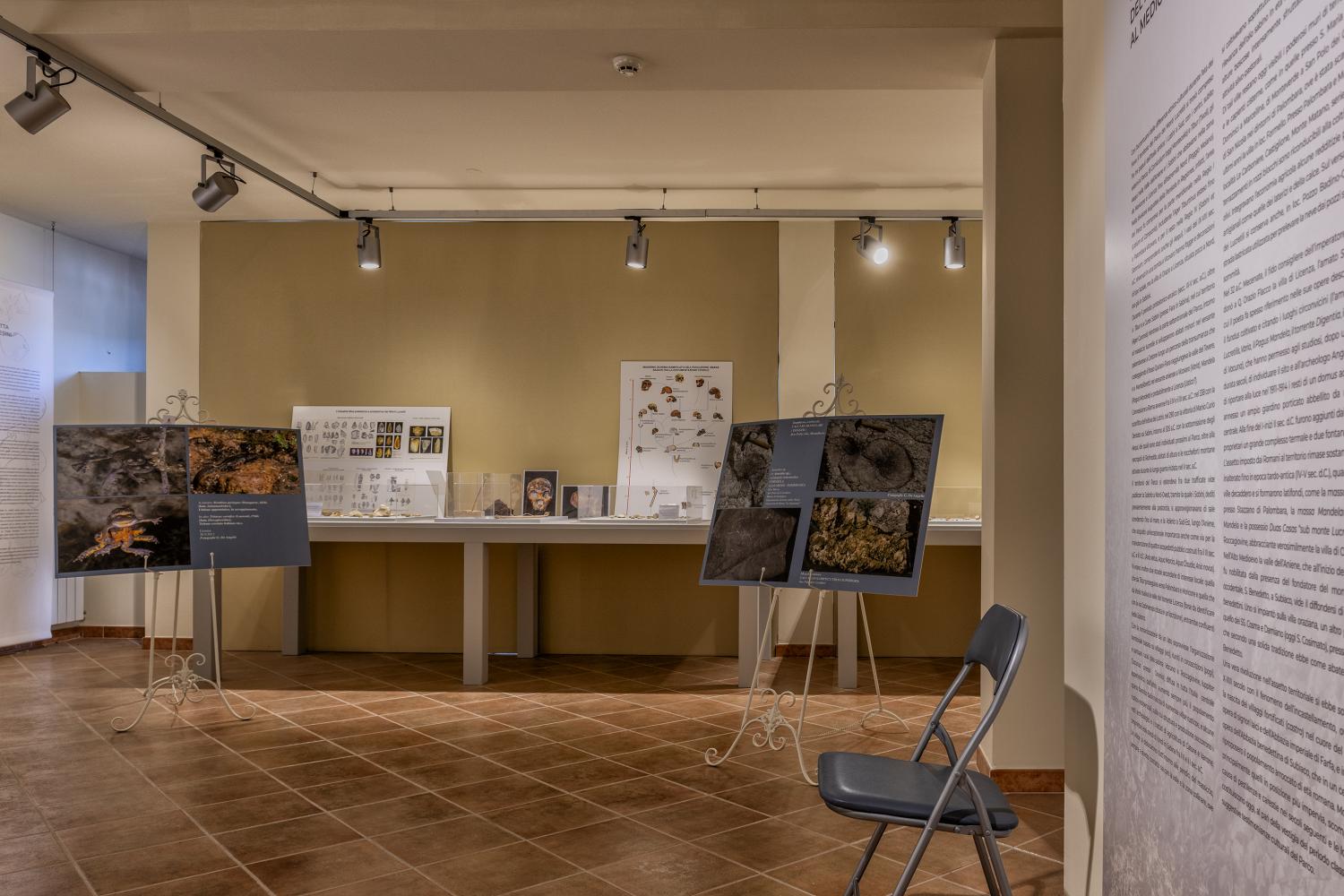 Museo Naturalistico Preistorico dei Monti Lucretili "Federico Cesi"